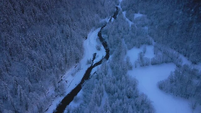 Winter in Ecrins National Park with aerial view of ravine in frozen forest and De Bonvoisin mountain peak. Cross-country ski trail in Vallouise Valley, Hautes-Alpes (Alps) France