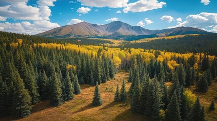 Obraz premium Aerial View of a Mountain Range with Autumnal Foliage and Blue Sky