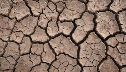 The ground has cracks in the top view for the background or graphic design with the concept of drought and death.