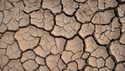 The ground has cracks in the top view for the background or graphic design with the concept of drought and death.