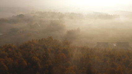 Naklejka premium Enchanted foggy landscape with autumn colors