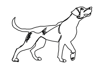 Dog one line art vector design