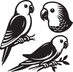 beautiful simple parrot vector 