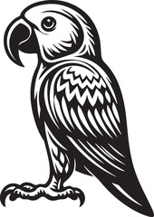 beautiful simple parrot vector 