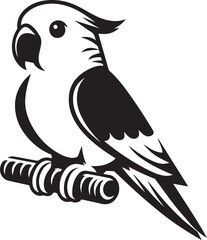 beautiful simple parrot vector 
