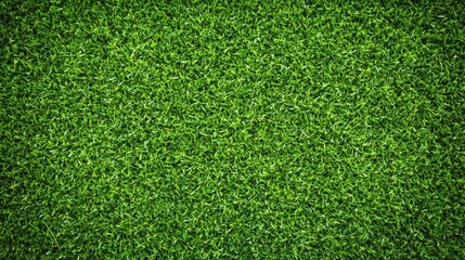 Fototapeta premium Lush green grass texture background, a vibrant closeup of nature's carpet for wallpaper and design