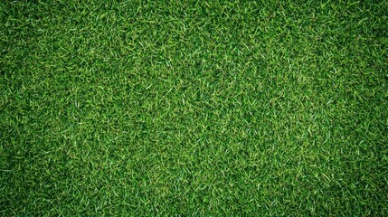 Obraz premium Lush green grass texture background, a vibrant closeup of nature's carpet for wallpaper and design inspiration