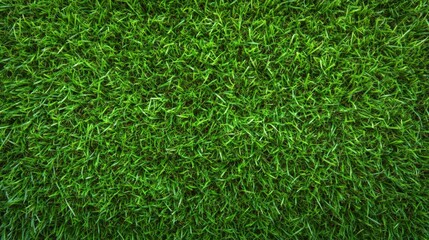 Vibrant green grass texture background, highresolution image for naturethemed projects and designs