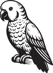 beautiful simple parrot vector 