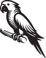 beautiful simple parrot vector 