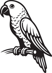 beautiful simple parrot vector 