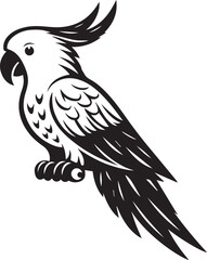 beautiful simple parrot vector 