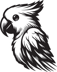 beautiful simple parrot vector 