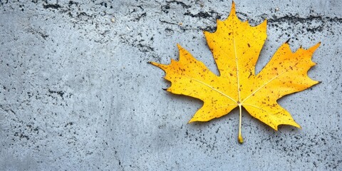 A yellow maple leaf rests on a gray concrete surface, creating a striking contrast, while the surrounding area remains empty, emphasizing the leafs vibrant color.