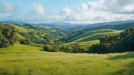 Fototapeta premium Lush green rolling hills create a captivating panoramic view, perfect for themes centered around nature and the environment. This scene offers ample photo style copy space.