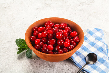 Red sweet ripe juicy cranberry