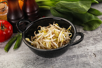 Soya bean sprouts in the bowl