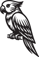 beautiful simple parrot vector 