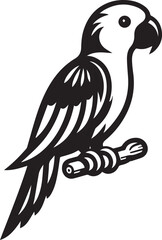 Fototapeta premium beautiful simple parrot vector 