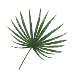 green leaf watercolor