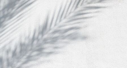 Obraz premium Painted textured white wall with soft grey shadows from palm leaves