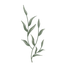 green leaf watercolor