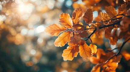 Autumn brings vibrant orange leaves in a serene forest setting, capturing the beauty of the season with abundant orange leaves and ample copy space for creative use.