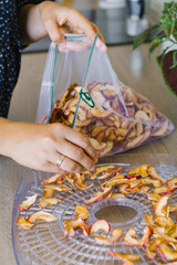 Woman Sealing Dried Apples in Plastic Bag at Home