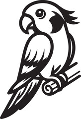 beautiful simple parrot vector 