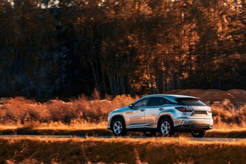 Modern SUV truck driving through lush forest landscape