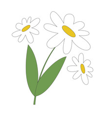 Chamomile bunch 2D cartoon object. Camomile flowers. Springtime wildflowers. Daisy blossoms. Floral herbal. Medicinal plant isolated element flat vector clipart on white background. Spot illustration