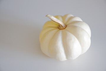 pumpkin isolated on white background. White color pumpkin on white background. Design element or background for Halloween Thanksgiving, Autumn or any other concept. 