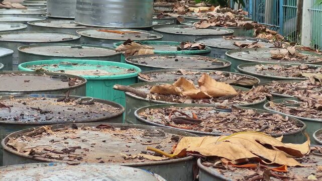 A collection of drums containing chemicals are outside with tree leaves scattered on top.