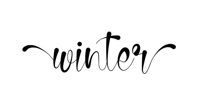 Winter Text Animation. Perfect for seasonal designs and holiday greetings. The stylish script evokes feelings of winter charm and festive spirit.