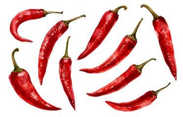 Watercolor set with red chili peppers. Perfect clip art for your projects. Suitable for backgrounds, textiles, wrapping paper, menus, packaging, stickers, etc.