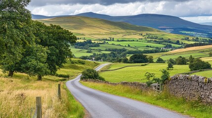 Scenic Country Road Through Lush Green Fields