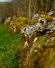 a rundown stone wall against a backdrop of green grass