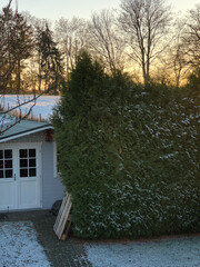 Winter Serenity: Cozy Rural Shed in a Snowy Landscape