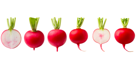 Set of six radishes: four whole and two vertically cut halves, isolated on transparent background.