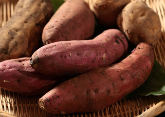 サツマイモ