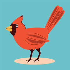 Flat vector illustration of cardinal bird. Illustration of red bird. Bird on isolated blue background. Winter bird.Red bird illustration.
