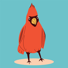 Flat vector illustration of cardinal bird. Illustration of red bird. Bird on isolated blue background. Winter bird.Red bird illustration.