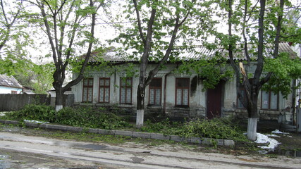 Moldova, Chisinau, logging, after a snowfall, broken trees, broken branches, street, park, fallen trees