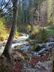 Gaisbach, Ehrwald/ Tirol