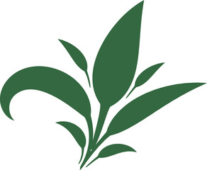 leaves isolated on white,tea leaves silhouette. tea sprout with leaves. silhouette of tea leaves. tea Leaf silhouette. mint leaf. Free Vector