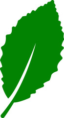 leaf icon. Set of green leaf icons. Eco, bio, natural, vegan icon. Vector illustration on white background.