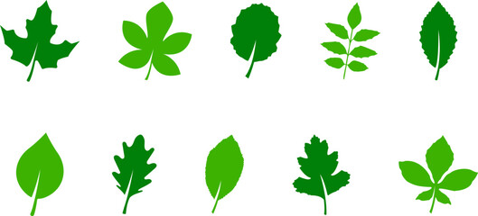 leaf icon. Set of green leaf icons. Eco, bio, natural, vegan icon. Vector illustration on white background.