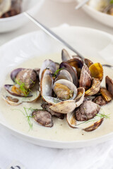 Fennelsoup with Pernod & vongole