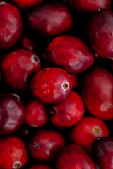 Cranberry-clementine gin tonic