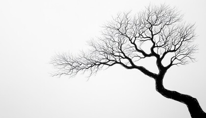 Obraz premium A black and white silhouette of a bare tree branch against a white background.